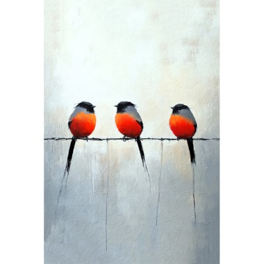 3 vogeltjes